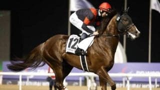 秋のマイル王決定戦マイルCS、出世の登竜門・東スポ杯2歳S/今週の競馬界の見どころ