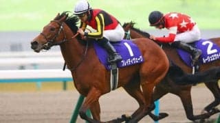 【エリザベス女王杯】ルメール騎乗、ブレイディヴェーグジョッキーカメラ映像が公開