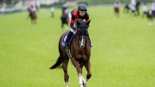 【マイルCS登録馬】セリフォスなど16頭