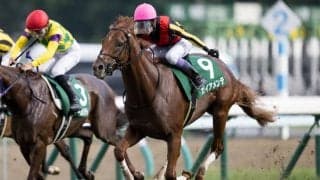 【東スポ杯2歳S登録馬】ガイアメンテなど11頭