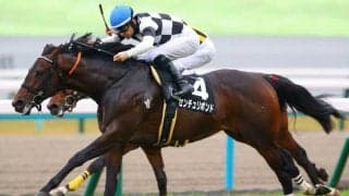 【黄菊賞】センチュリボンドが混戦を断つ…ルメールは本日4勝目