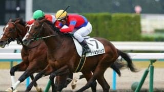 【新馬/京都5R】ゴールドシップ産駒 アドミラルシップが接戦を制する
