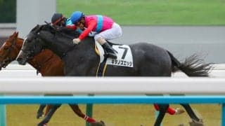 【新馬/京都4R】ジョーカプチーノ産駒 キタノズエッジが接戦を制する…断然人気ジェネラーレは敗退