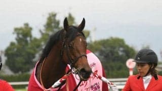 【エリザベス女王杯】売上は170億406万2500円で昨年より約20億円の大幅減少