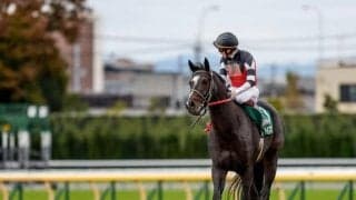 【武蔵野S】売上は30億9791万4500円で昨年より約10億円減少