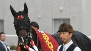 【デイリー杯2歳S】売上は25億1479万400円で昨年より約6000万円減少