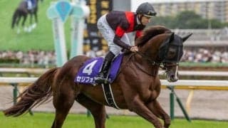 マイルCS想定騎手16頭 セリフォスは川田将雅騎手、シュネルマイスターはC.ルメール騎手