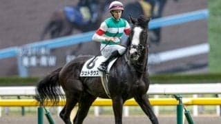 東スポ杯2歳S想定騎手11頭 シュトラウスはJ.モレイラ騎手、ガイアメンテはT.マーカンド騎手