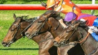 【マイルCS／血統予想】想定4人気以下に単複回収値「100超え」　父と母に宿る”京都の鬼”