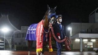 【先週のJRA抹消馬】重賞4勝の快速馬ダンシングプリンス、10歳セン馬アストラエンブレムなど
