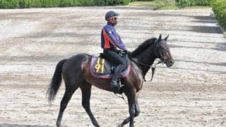 「素質を感じる」ヘデントール C.ルメール騎手を背に今週末初陣/関東馬メイクデビュー情報