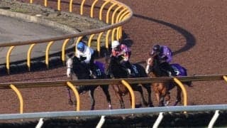 GI・2勝ヴィブロスの仔 シヴァースがムーア騎手背にスタンバイ/関西馬メイクデビュー情報