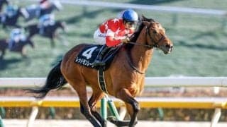 【AI予想・マイルCS】秋のマイル王決定戦は波乱の可能性も!?  人工知能が示す意外な本命候補とは