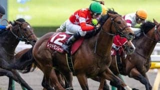 11月13日は「茨城県民の日」ジョッキー界の\"最大派閥\"も茨城だった