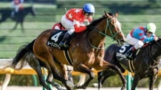 母は世界的な超良血馬 成長力と底力に秀でたルージュエヴァイユ