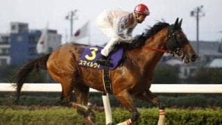 【大井・マイルGP枠順】スマイルウィは2枠2番 少数精鋭8頭