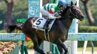 【東スポ杯2歳S展望】2歳戦屈指の出世レース、決め手勝負になりやすい