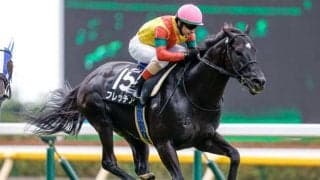 兄弟姉妹にG1馬5頭の超良血馬 ハービンジャーなどの父“ダンシリ”はどんな馬？