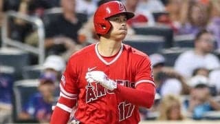 1人だけ格が違う…大谷翔平だけ“特別扱い”、95人の頂点に君臨する圧倒的存在感