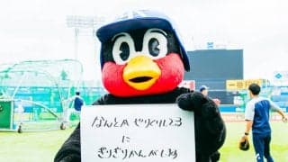 つば九郎の人生相談「ヤクルトファンです。球場観戦数を減らさずにすむよう、家族から認められる方法を教えてください」