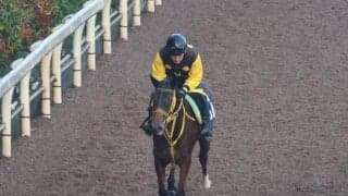 ワイドジャイキリなど、先週のゲート試験/栗東トレセンニュース