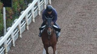 テーオーリカードなど、先週の入厩情報/栗東トレセンニュース