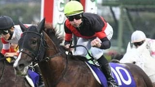 【マイルCS予想オッズ】セリフォスが予想1番人気