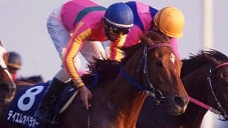 ベストパートナーと思う騎手と競走馬は？ グランドスラム馬からアイドルホースまで多彩な声