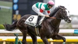 【東スポ杯2歳S予想オッズ】シュトラウスが予想1番人気