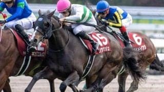 4年ぶりに京都開催となるマイルCS 粘り込み型＞末脚自慢型を意識して狙いたい一頭 