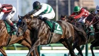 【マイルCS展望】秋のマイル王決定戦、ソウルラッシュの初戴冠を期待したい