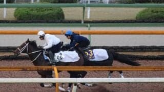 ディープボンド、ジャパンC1週前追い切り速報/栗東トレセンニュース