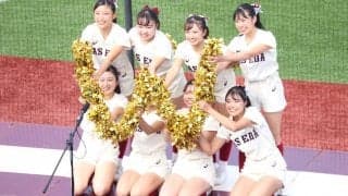 「改めてこの代で頑張ってこられて良かったなと感じました。」（林チアリーダーズ責任者）早慶戦後４年生応援コメント集/チアリーダーズ編