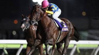 ドンフランキーに骨折が判明 今後は3カ月以上の休養へ