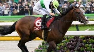 名牝系からハープスター以来のGI馬誕生か 相性抜群の西村淳也騎手とマイルCS参戦