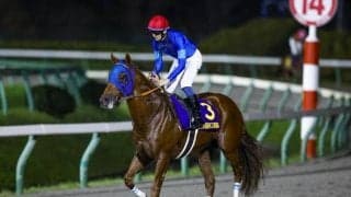 チャンピオンズC想定18頭 レモンポップなどJpnI/GI馬が9頭登録予定