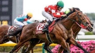 【マイルCS予想】AIが推す伏兵は波乱を演出できるか