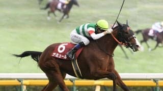 マイルCSで狙うべきは４勝すべてが1600ｍのマイラーと、日本を代表する名牝系の出身馬