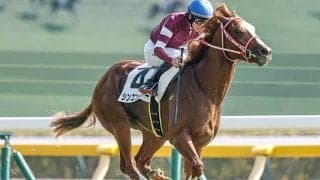 デビュー戦快勝の凱旋門賞馬全弟 次走はJ.モレイラ騎手と京都2歳Sへ