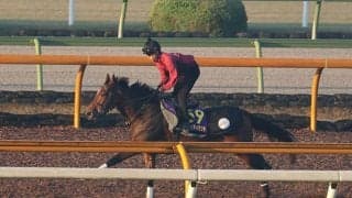 リバティアイランド、ジャパンC1週前追い切り速報/栗東トレセンニュース