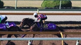 ドウデュース、ジャパンC1週前追い切り速報/栗東トレセンニュース