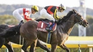 【マイルCS出走馬・騎手確定】シュネルマイスター＆C.ルメール騎手、セリフォス＆川田将雅騎手など16頭