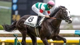 【東京スポーツ杯2歳S出走馬・騎手確定】シュトラウス＆J.モレイラ騎手、フォルラニーニ＆C.ルメール騎手など10頭