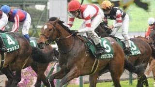 オーストラリアに遠征していたオオバンブルマイ、ブレークアップが帰国