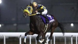 【名古屋・東海菊花賞結果】アンタンスルフレが早め先頭から押し切り重賞連覇