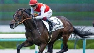 キズナ産駒から牡馬の“大物”誕生か セレクト1億円馬が東スポ杯2歳Sで重賞初Vへ