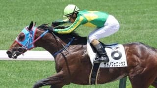 【兵庫ジュニアグランプリ】JRA出走予定馬