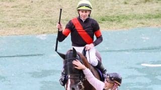 【マイルCS】出走馬の調教後の馬体重