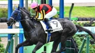 サトノダイヤモンドの甥が重賞初挑戦 前走は強烈な加速ラップで3馬身半差V