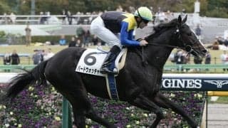 【新馬/東京5R】アパパネの仔、バードウォッチャーがデビュー戦快勝